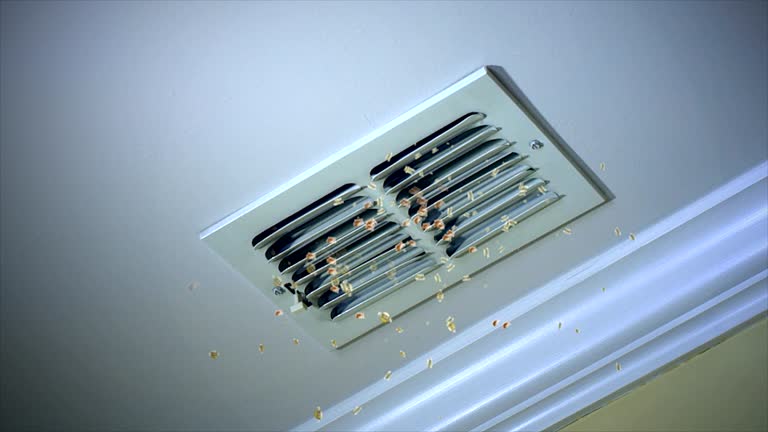 Best Air Duct Sanitizing Services  in Pleasant Grove, UT