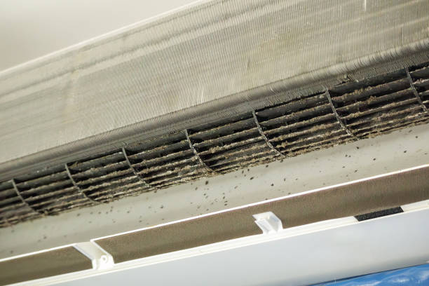 Best Emergency Air Duct Cleaning  in Pleasant Grove, UT